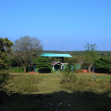 Aarraams Farms & Resorts Масинагуди Экстерьер фото